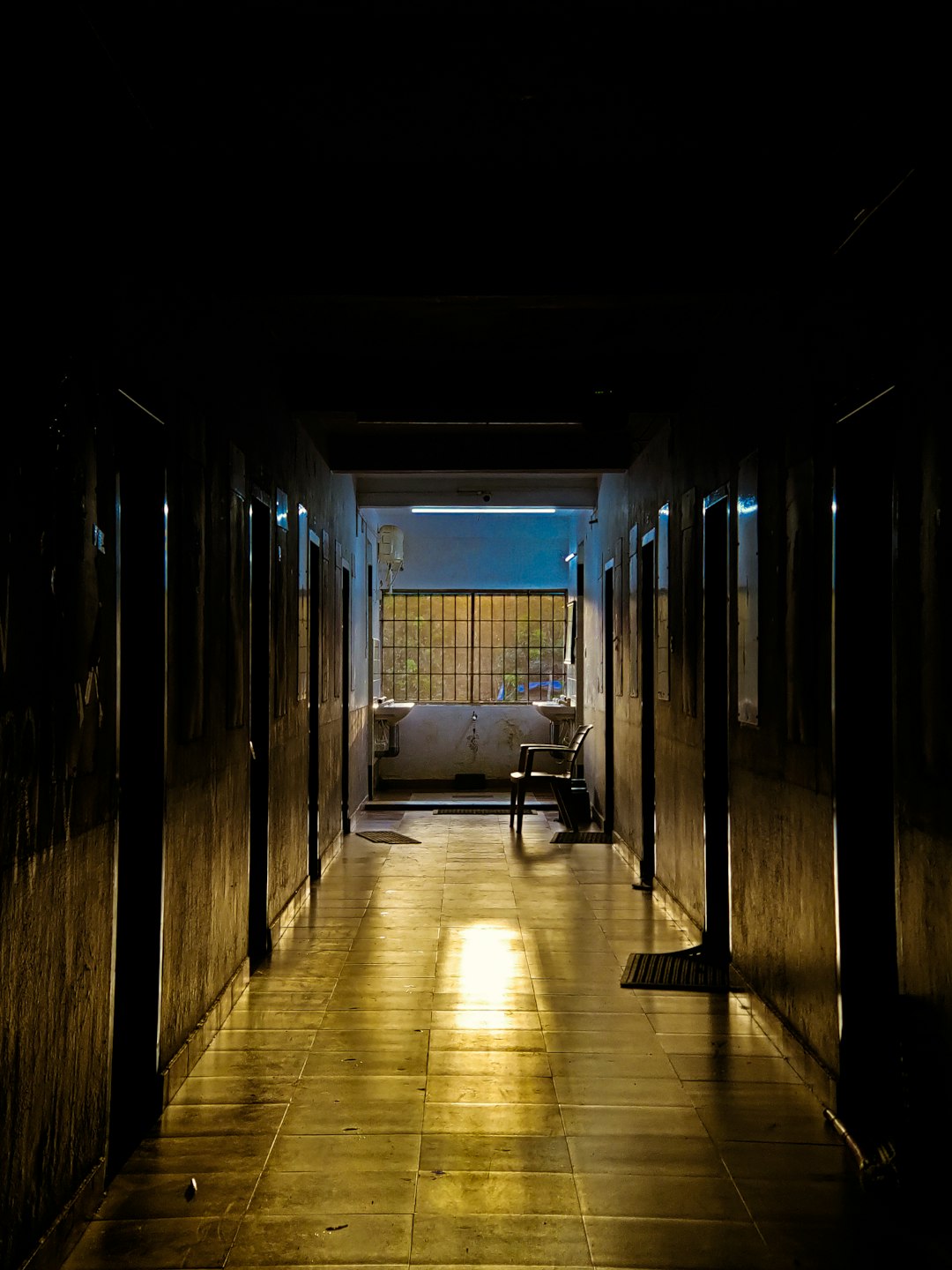 Shadow Suite